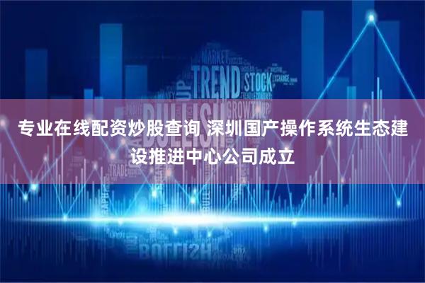 专业在线配资炒股查询 深圳国产操作系统生态建设推进中心公司成立