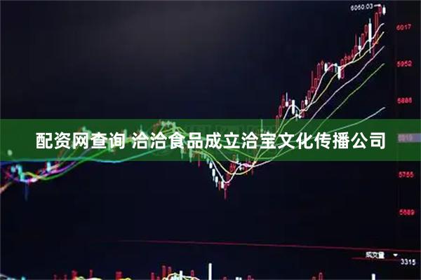 配资网查询 洽洽食品成立洽宝文化传播公司