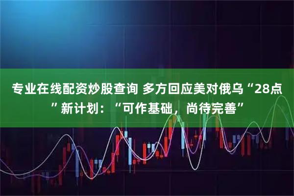 专业在线配资炒股查询 多方回应美对俄乌“28点”新计划：“可作基础，尚待完善”