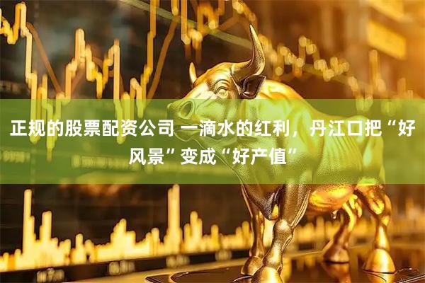 正规的股票配资公司 一滴水的红利，丹江口把“好风景”变成“好产值”